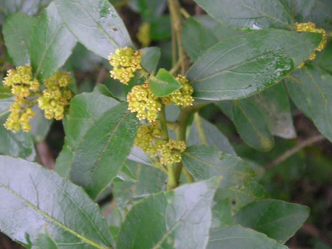 photo1
