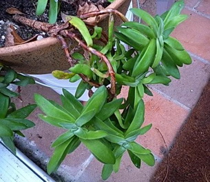 photo2