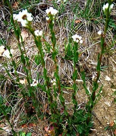 photo1