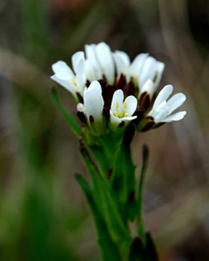 photo2