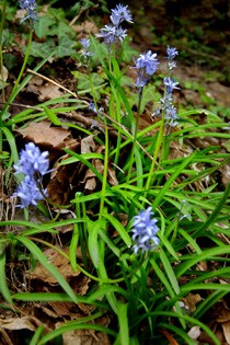 photo1