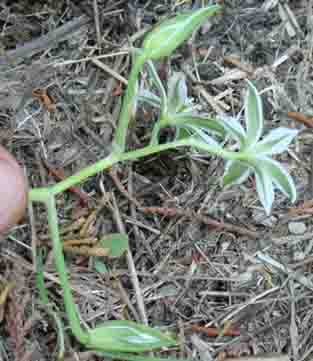 photo2