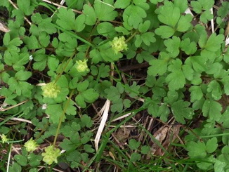 photo2