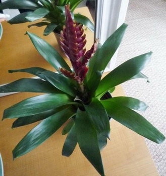 photo1