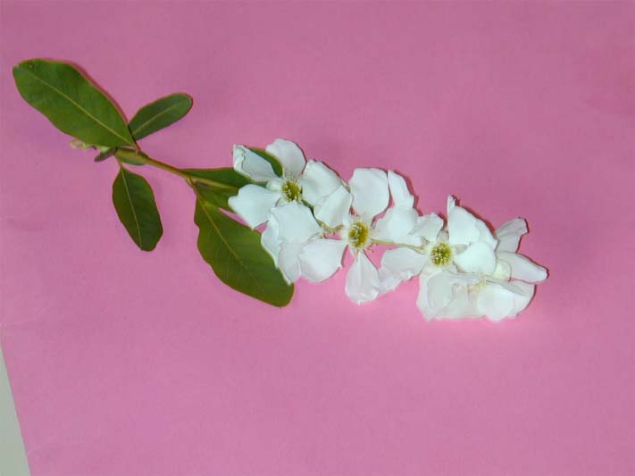 photo2