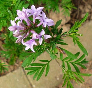 photo1