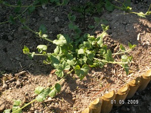 photo1