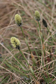 photo1