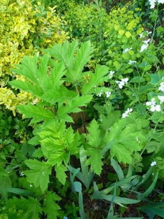 photo2