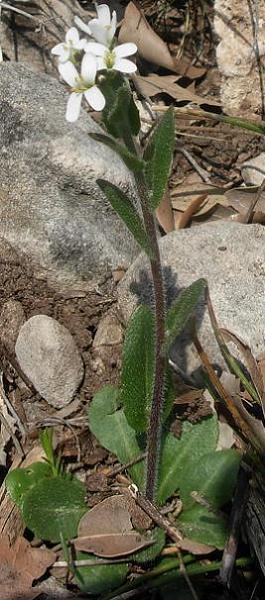 photo1