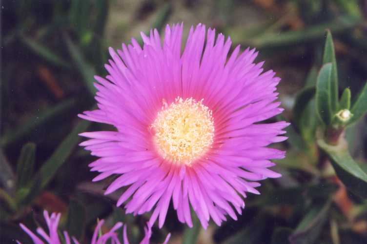 photo1