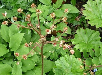 photo2