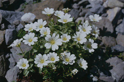 photo1