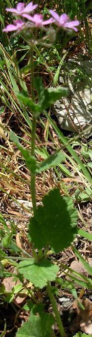 photo1
