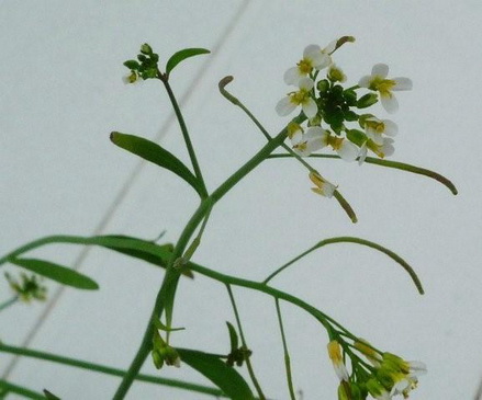 photo1