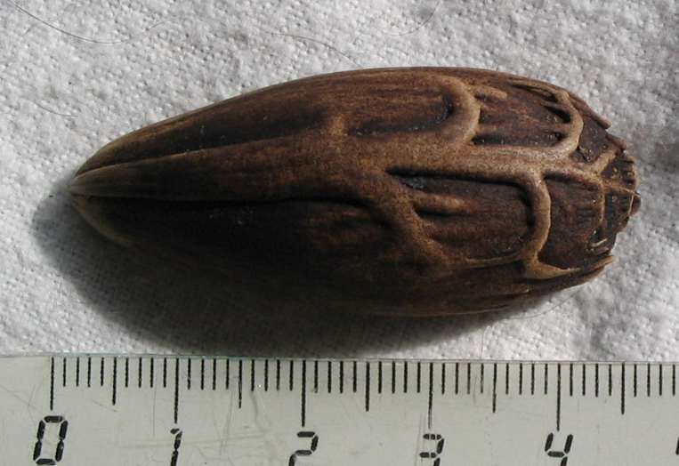photo1