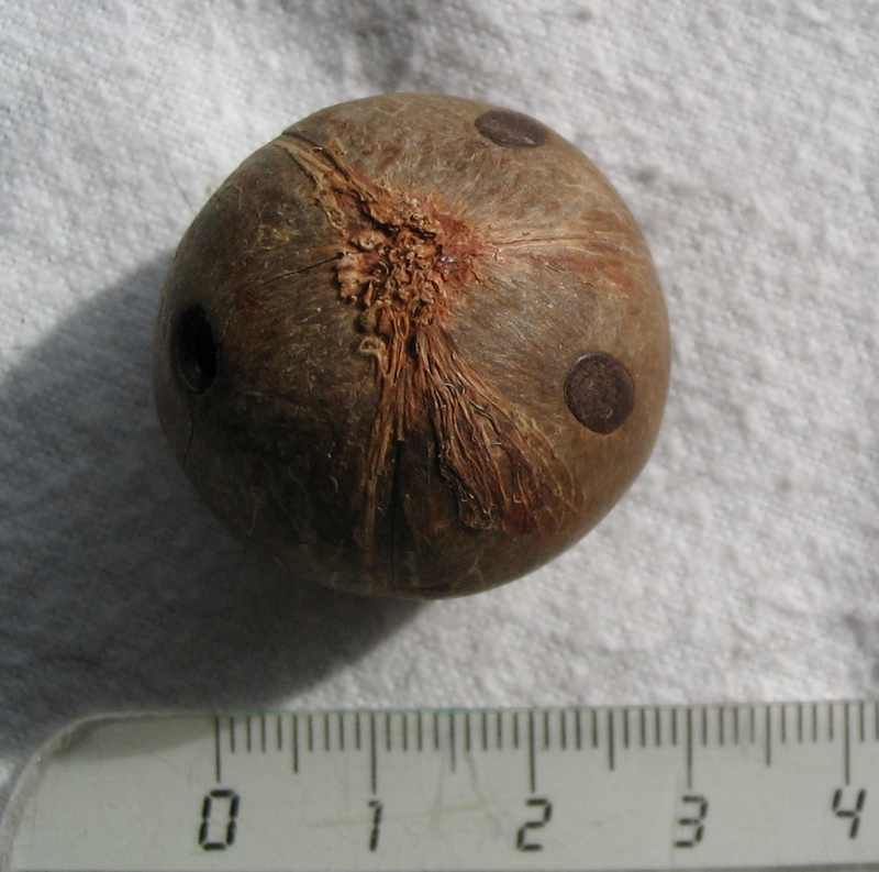 photo1