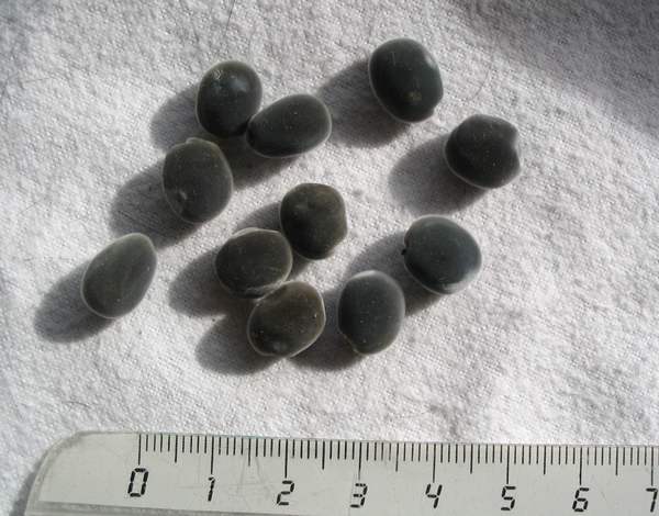 photo1