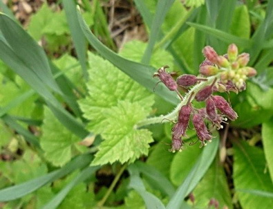 photo1