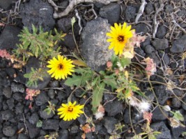 photo1
