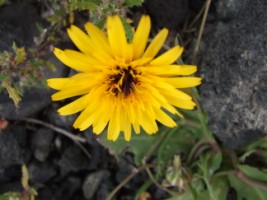 photo2