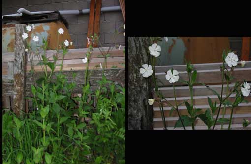 photo1