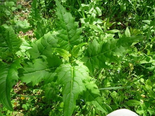 photo1