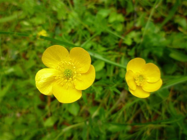photo1