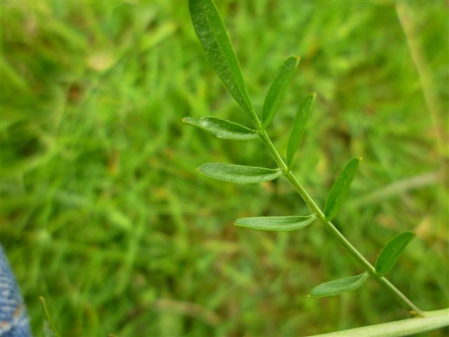 photo2