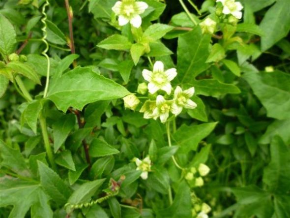 photo1