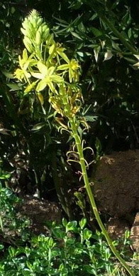 photo1