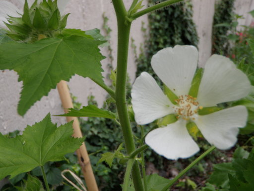 photo1