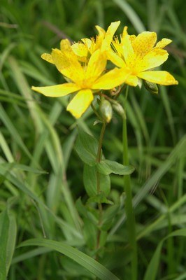 photo1