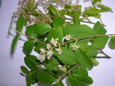 photo1