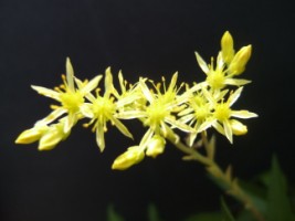 photo2