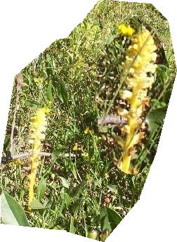 photo1
