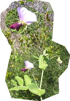 photo2