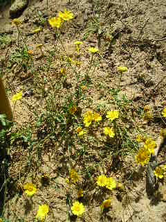 photo1