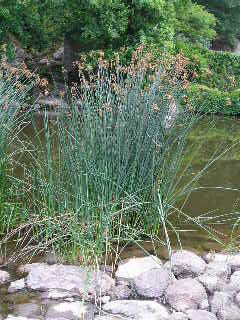 photo1