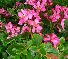 photo1