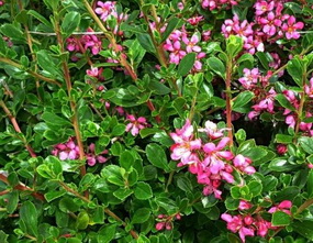photo2