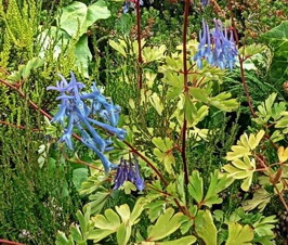 photo1
