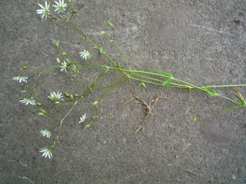 photo2