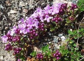 photo2