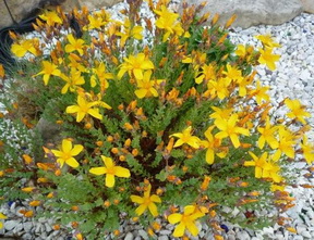 photo2