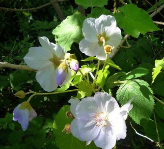 photo1