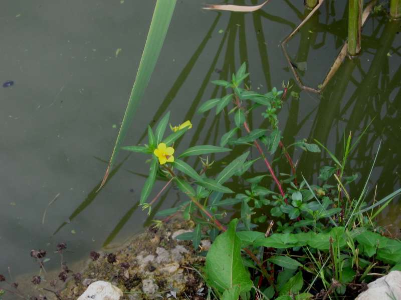 photo1