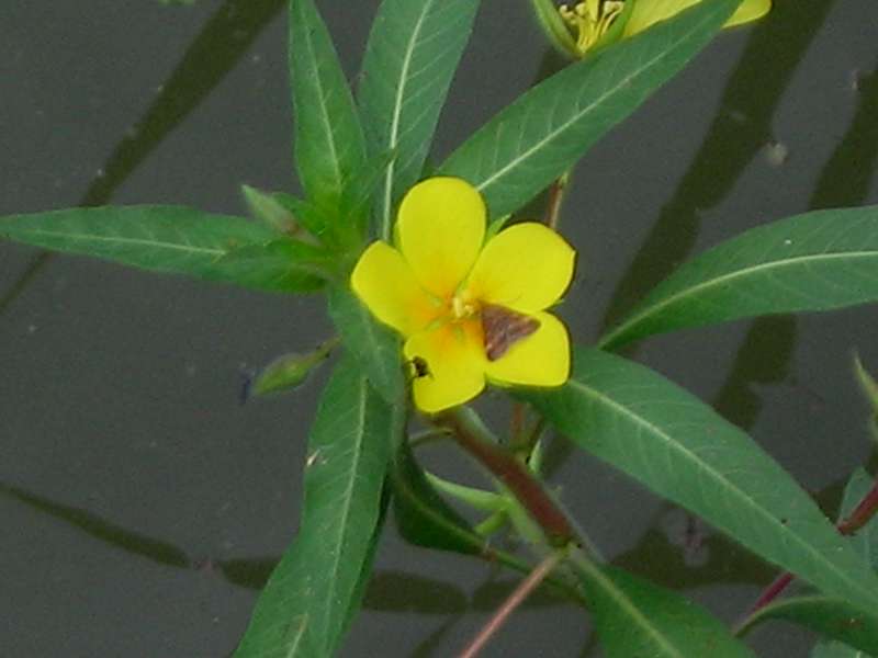 photo2