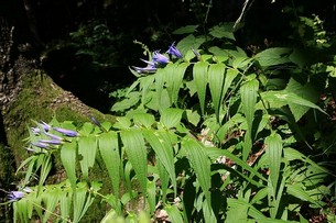 photo1