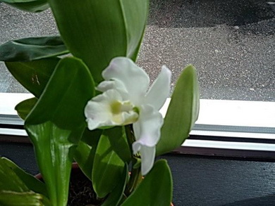 photo2